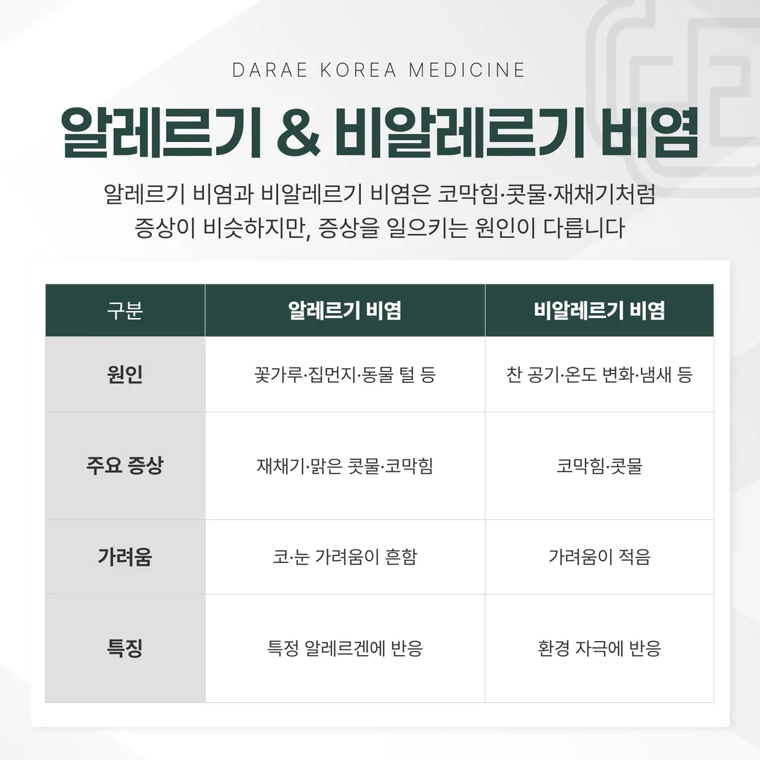 알레르기 비염과 비알레르기 비염 구분 흐름과 특이 IgE 검사 단계 도해