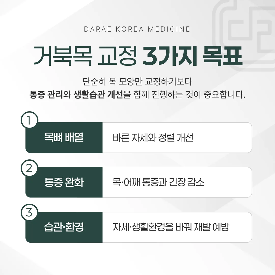 거북목 교정의 세 가지 목표와 근거 수준 비교