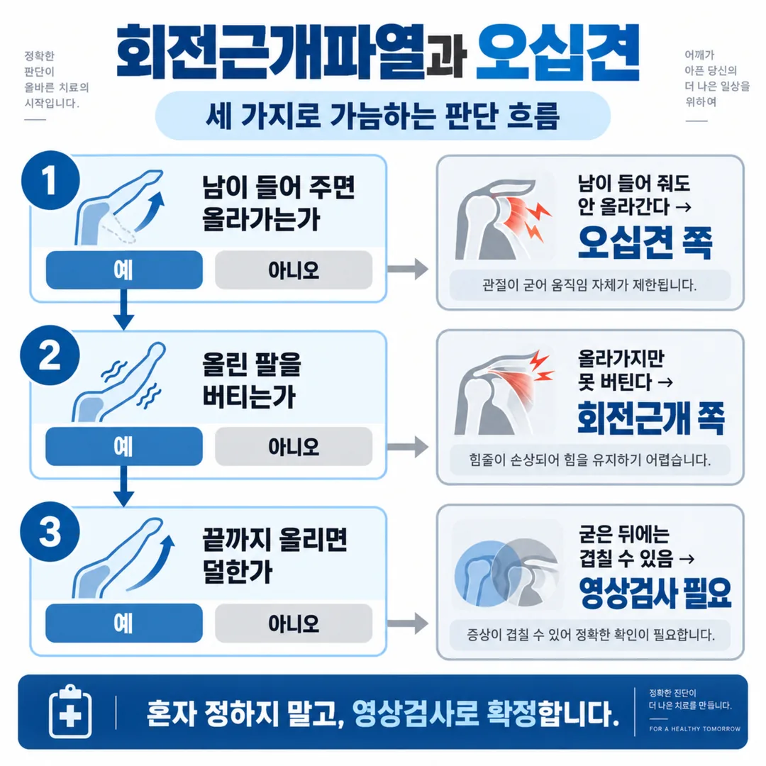 남이 들어 줄 때·버틸 때·아픈 구간 세 항목으로 회전근개파열과 오십견을 가늠하는 판단 흐름도
