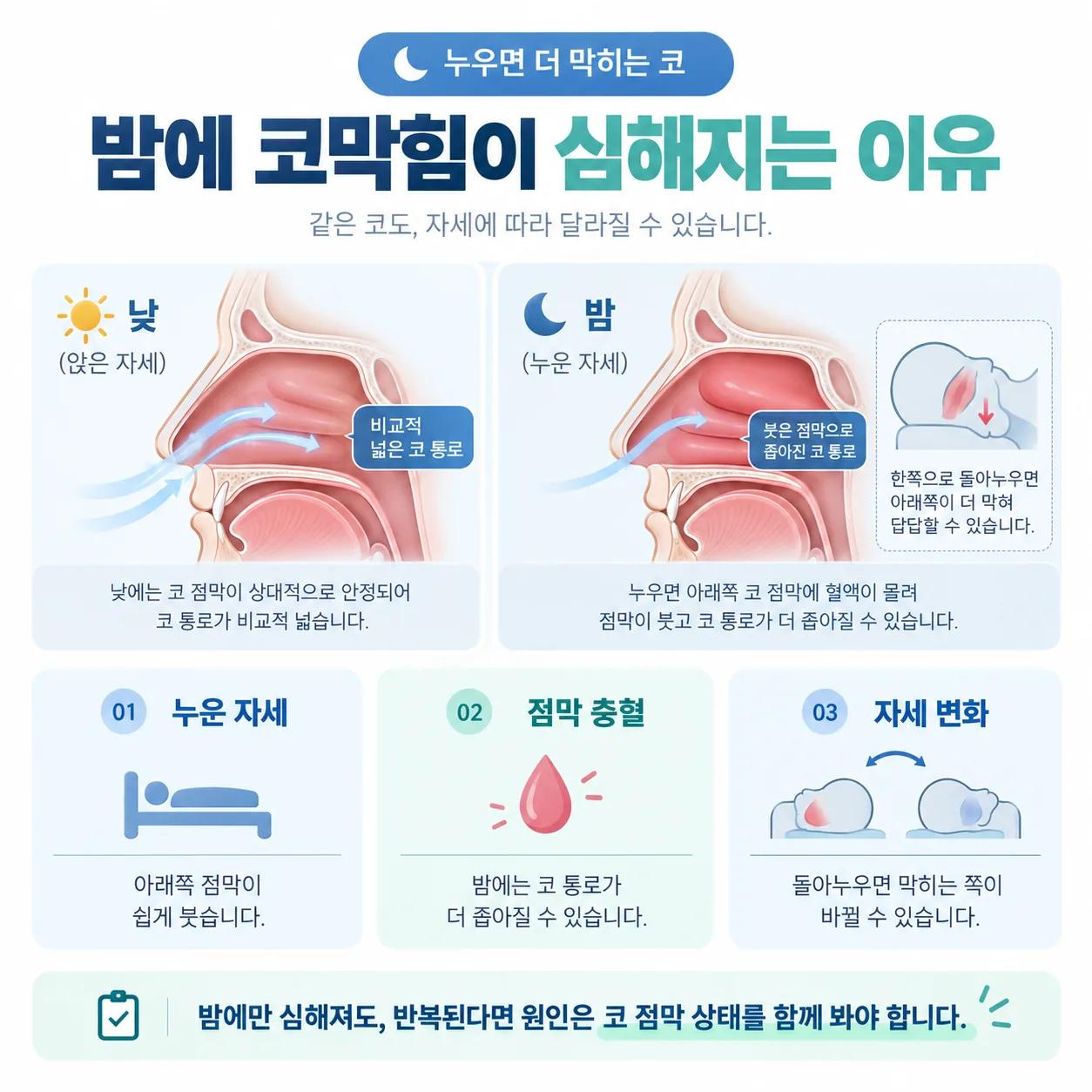 낮과 밤의 코 통로 너비를 비교한 단면 개념도