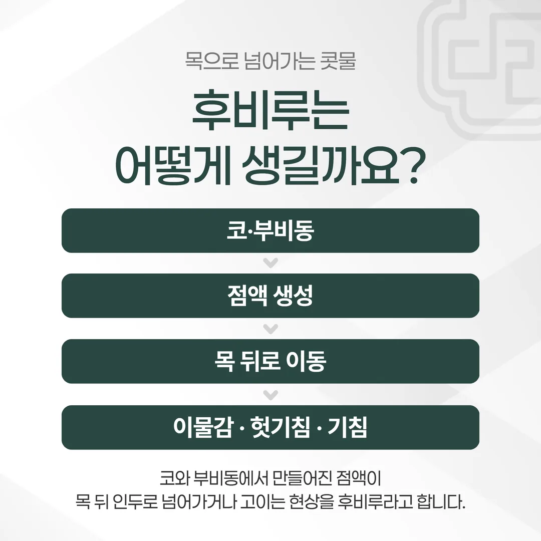 후비루가 생기는 경로를 옆에서 본 단면 개념도
