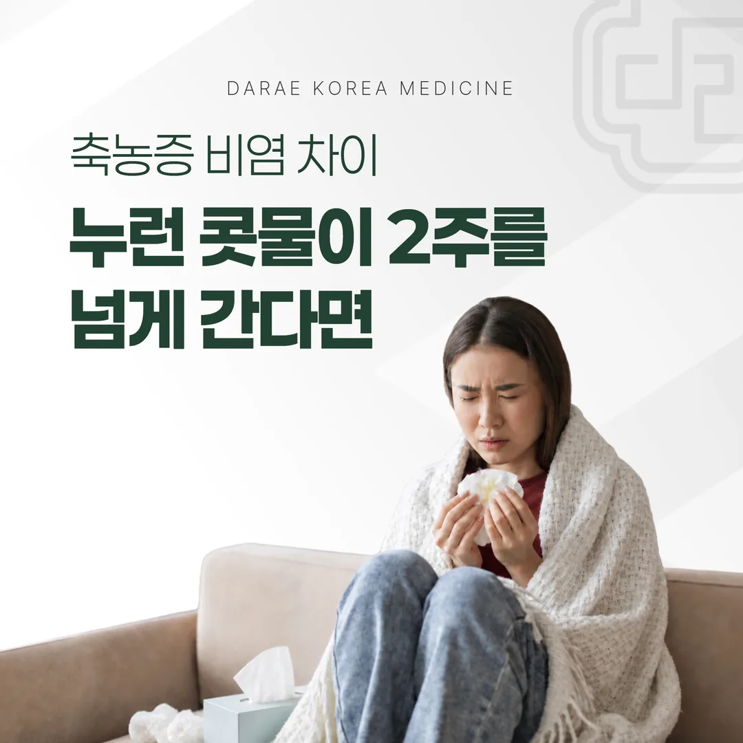 축농증 비염 차이, 누런 콧물 2주 넘게 간다면 — 치료가 갈리는 지점